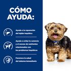 Hill's Prescription Diet Liver Care L/D pienso para perros, , large image number null